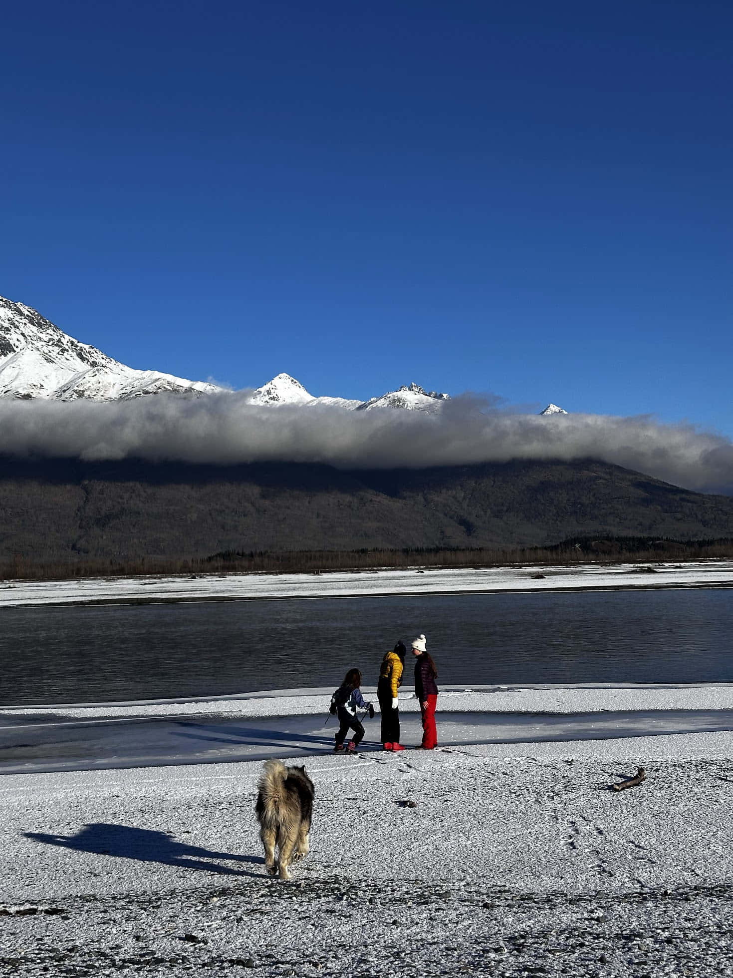 Шале «Бродячий лось» gallery 51