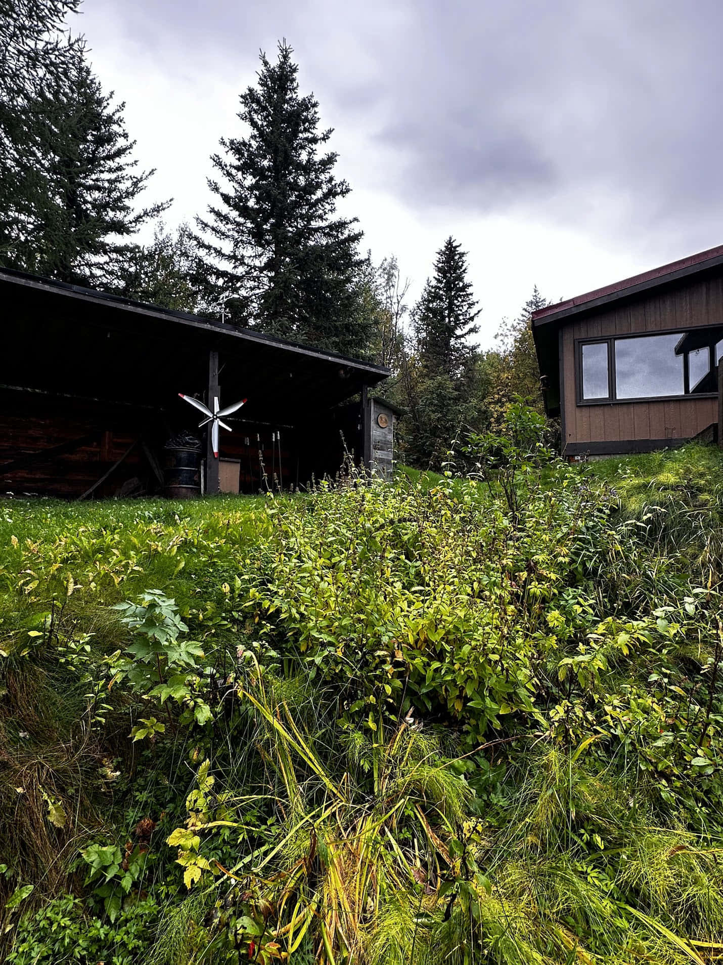 Шале «Бродячий лось» gallery 3