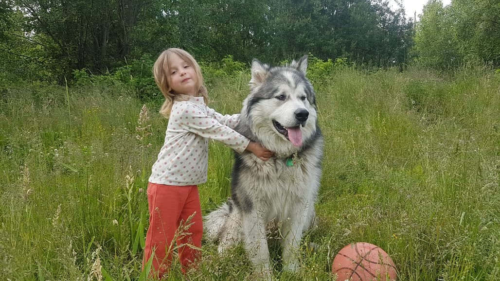 Summer Accommodations info 1