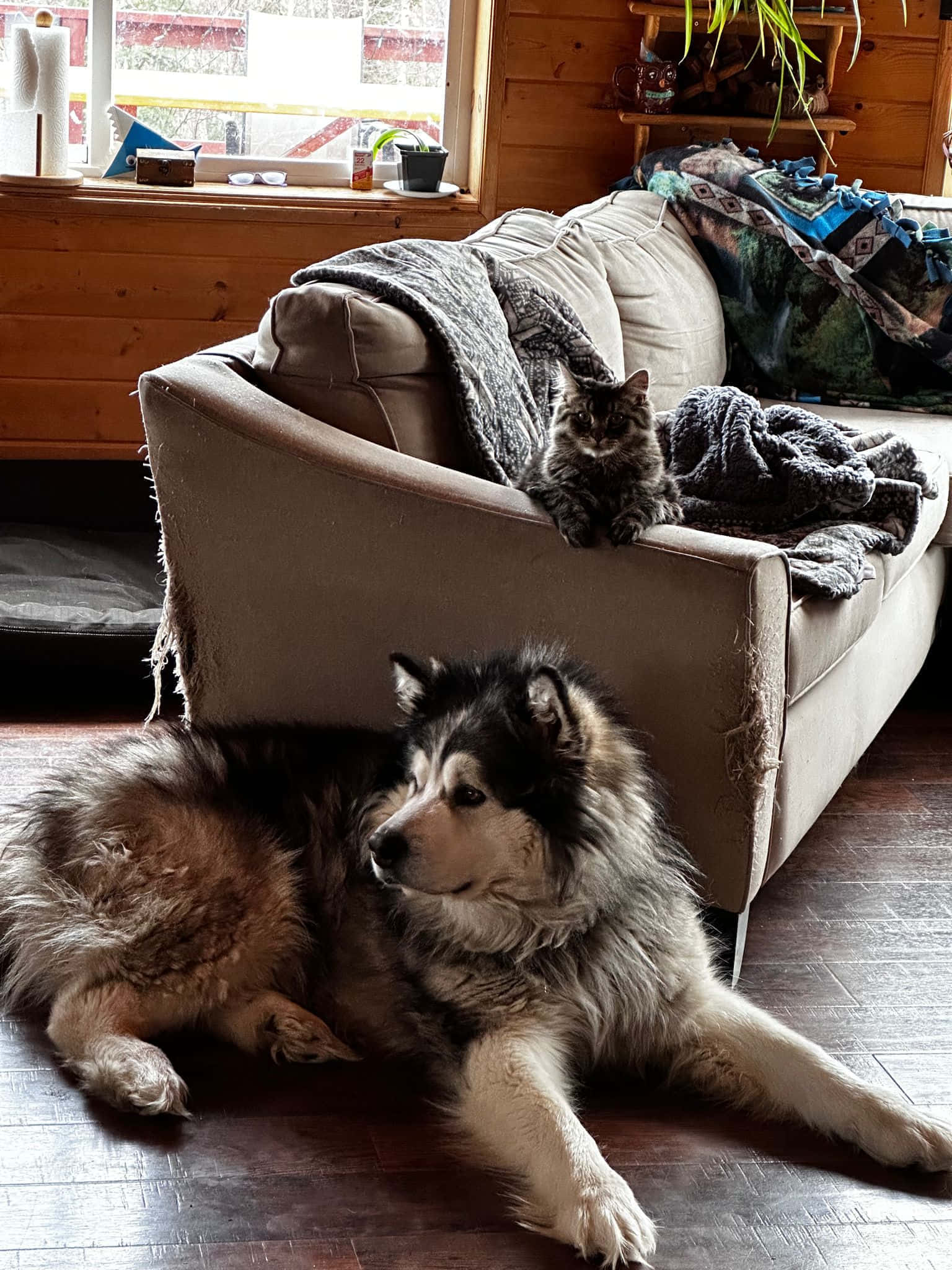 Summer Accommodations info 2