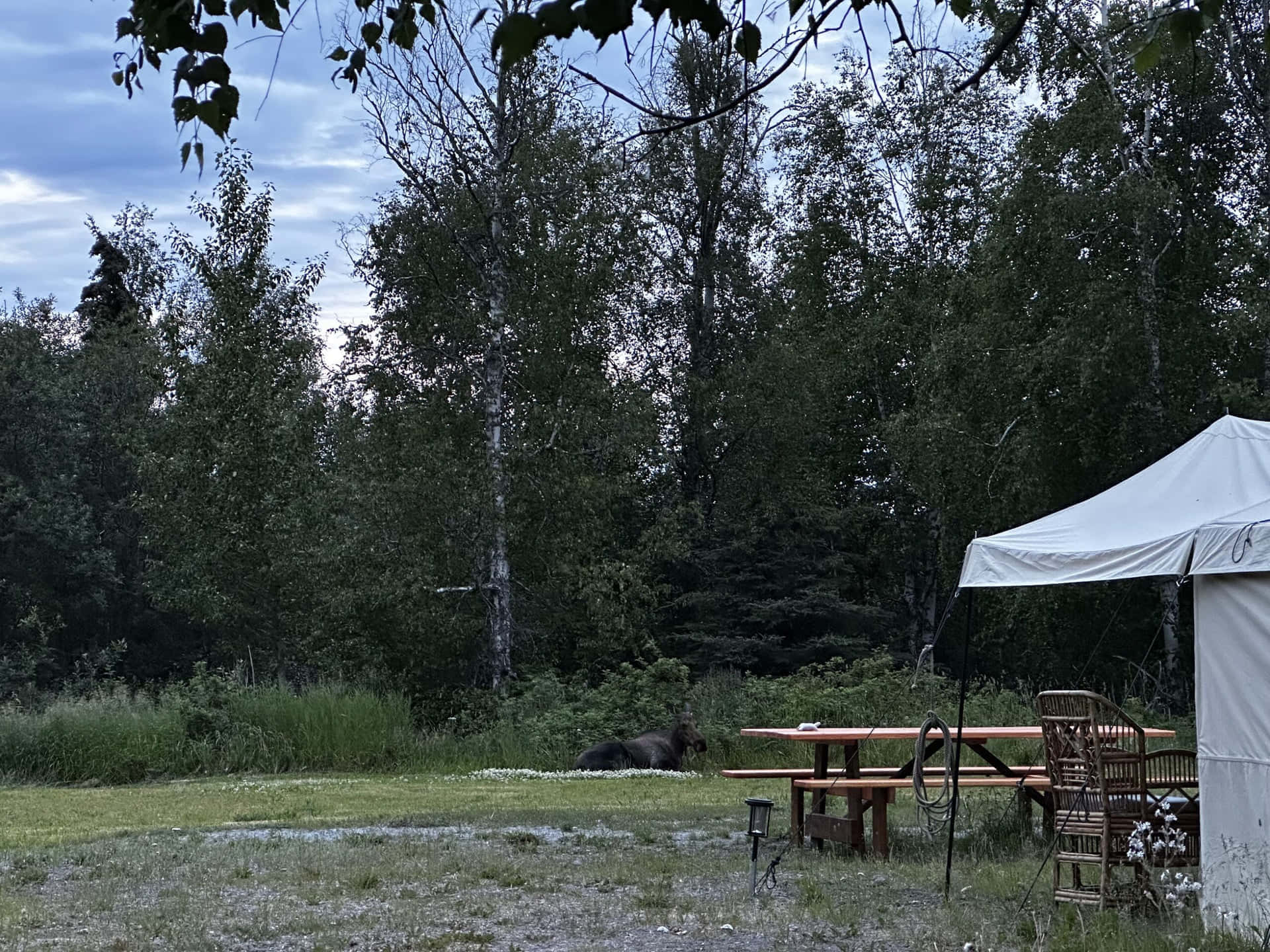 Большой Шатер gallery 8