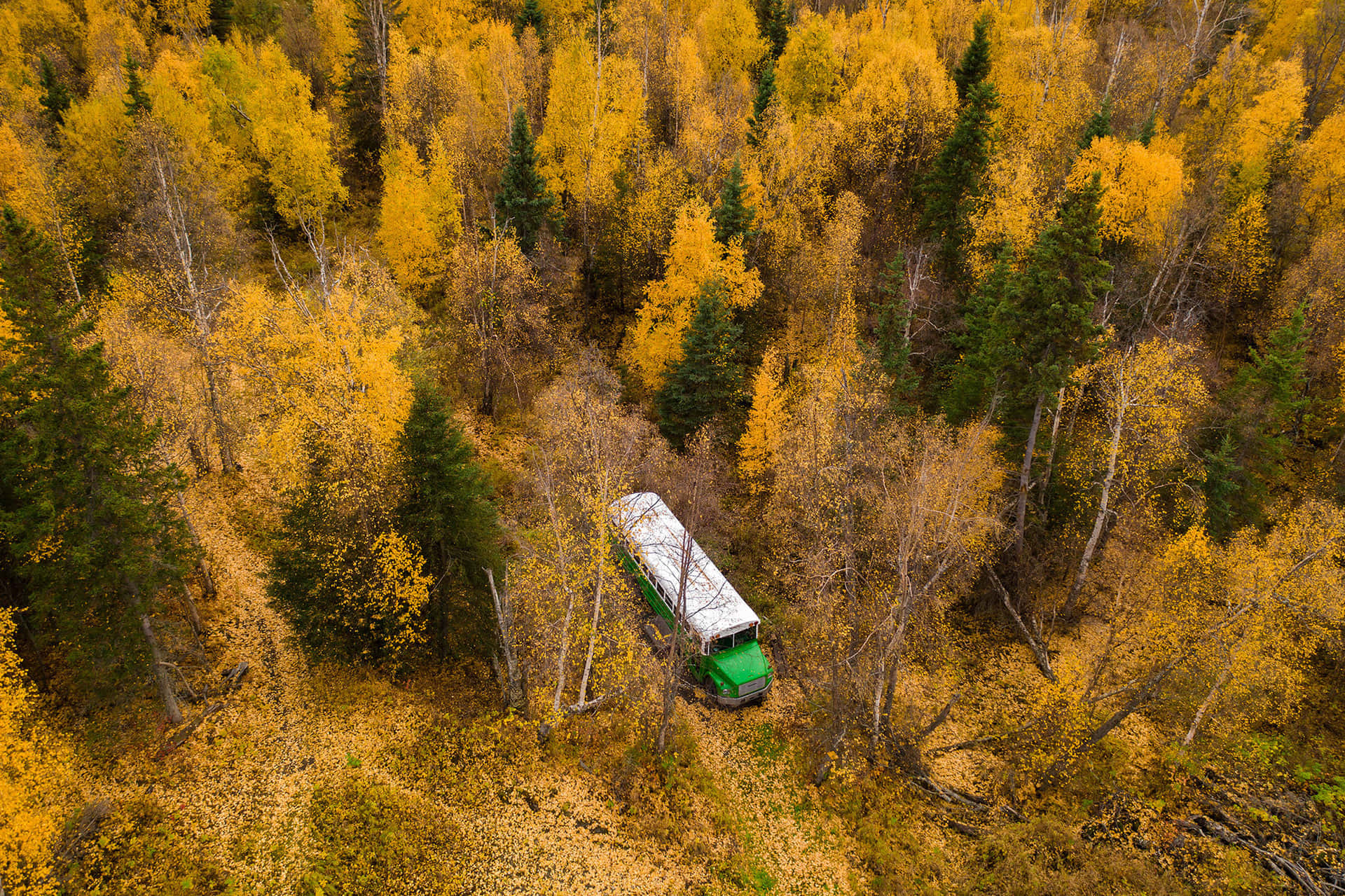 אוטובוס קסמים (1-4 אנשים) gallery 2