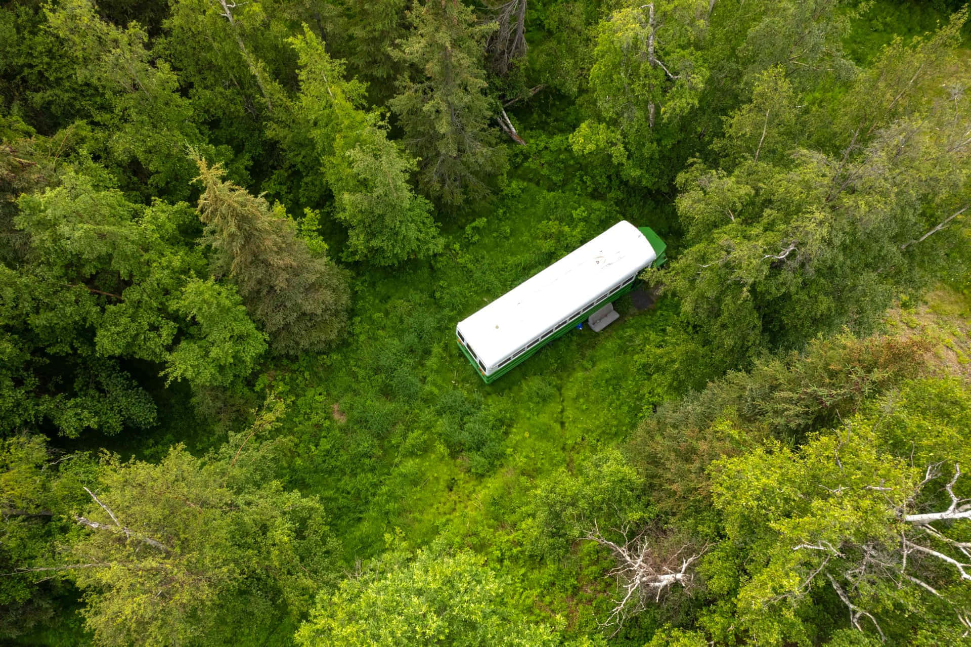 Magic Bus (1-4 people) gallery 6