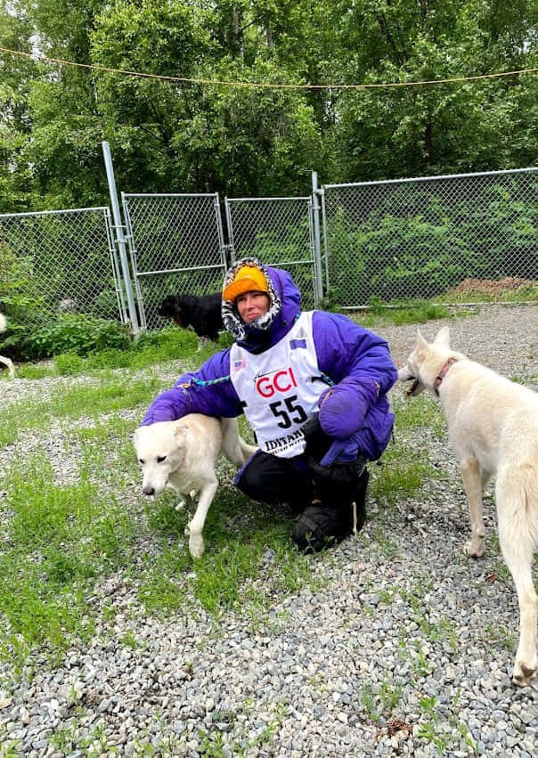 אלסקה ב-7 ימים - 7