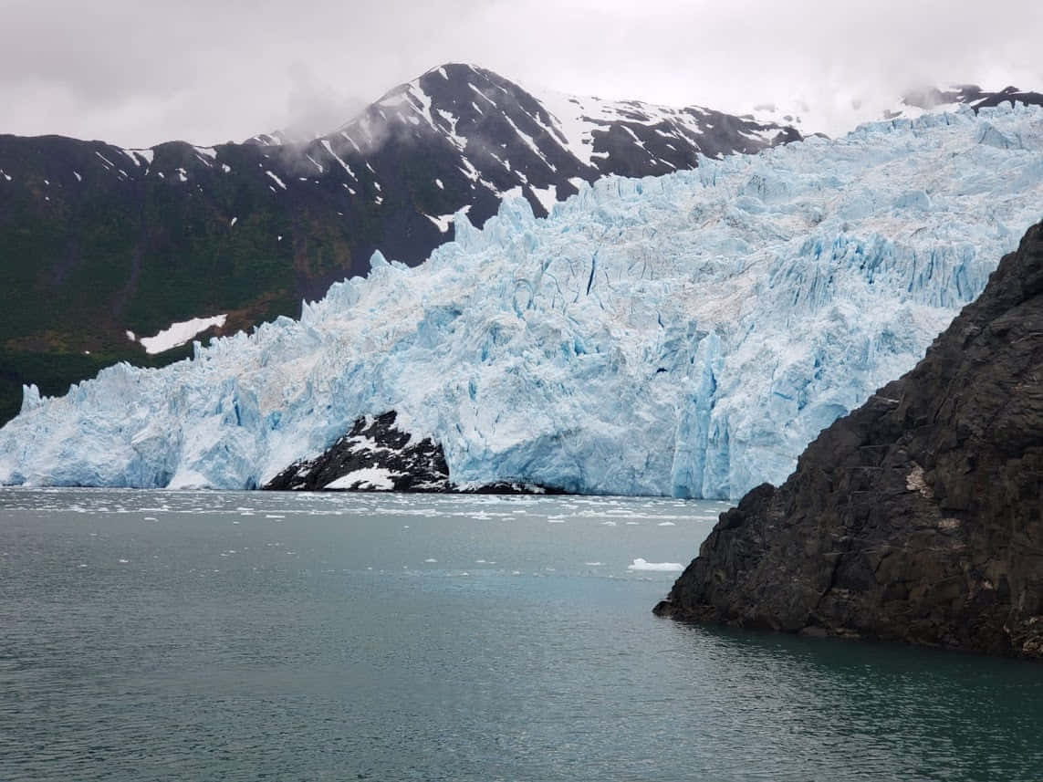 One-Day Fjord Cruise