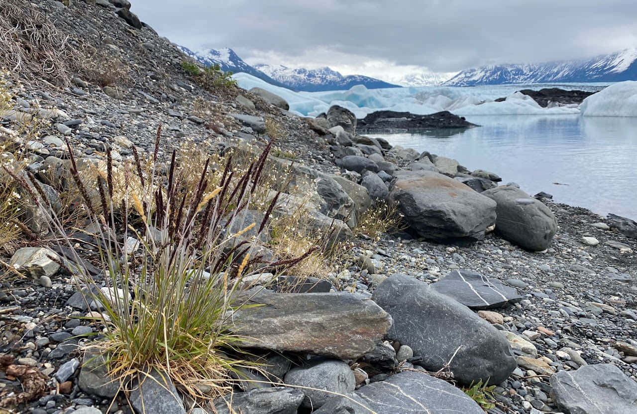 UTV Ride to the Iceberg Lake (6-seater buggies) - 3