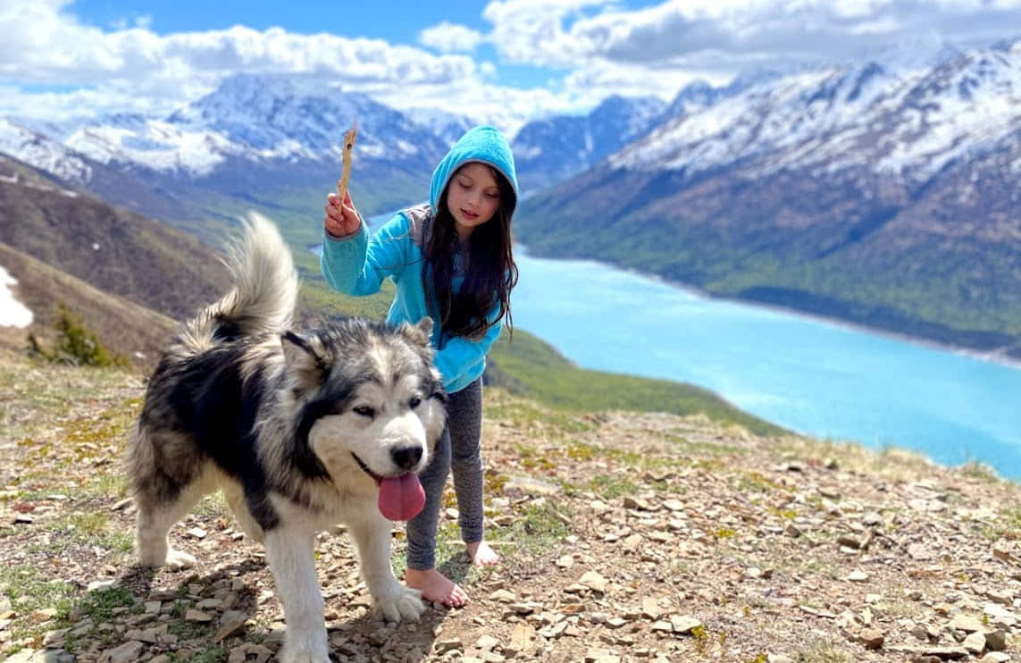 אלסקה 7 ימים - מבוגרים וילדים - 4