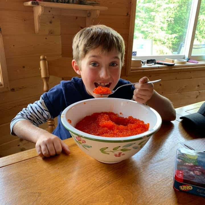 גלריית תמונות - 5