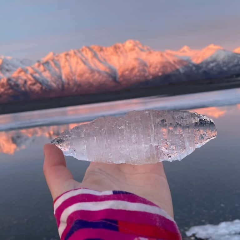 גלריית תמונות - 2