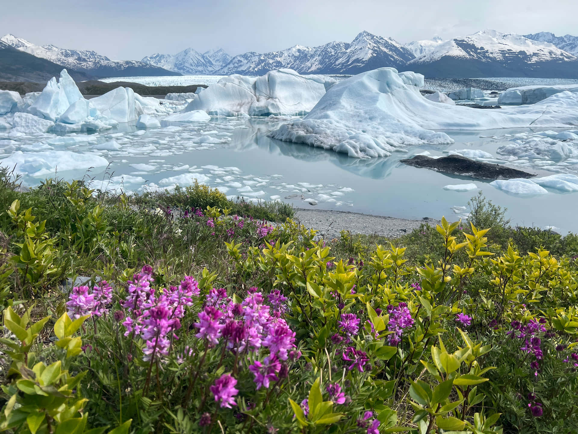 Аляска — река в летнем лесу | Alaskan Adventure Haven