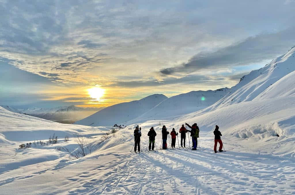 Winter Alaska in March - 1