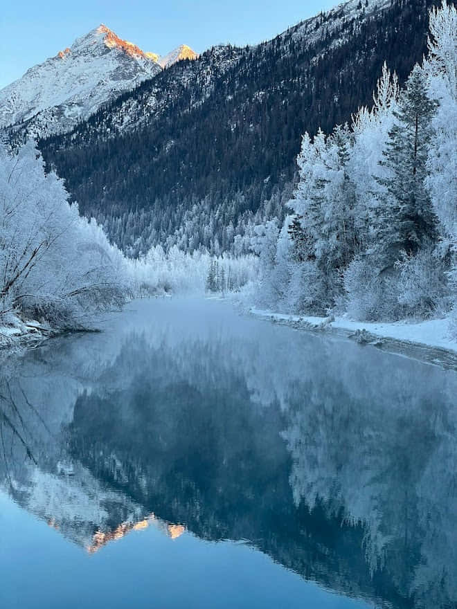 Winter Alaska in March - 3