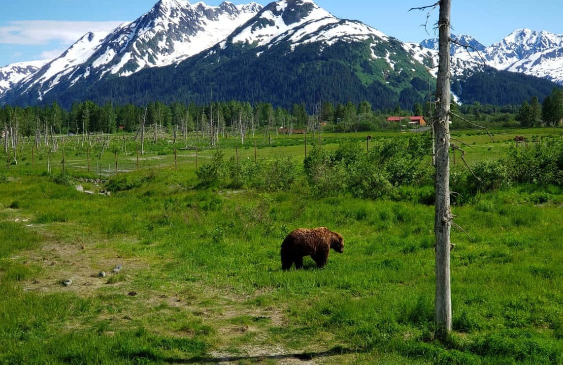 אלסקה 7 ימים - מבוגרים וילדים - 6