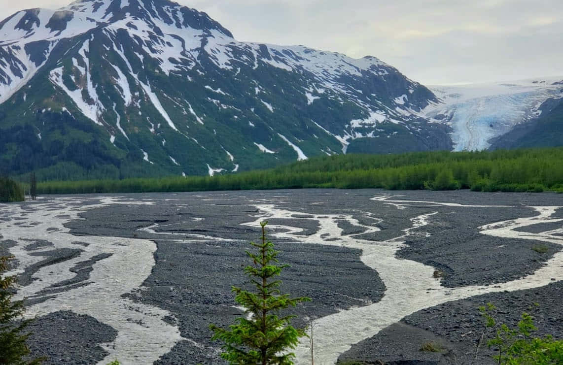 אלסקה ב-6 ימים - 5
