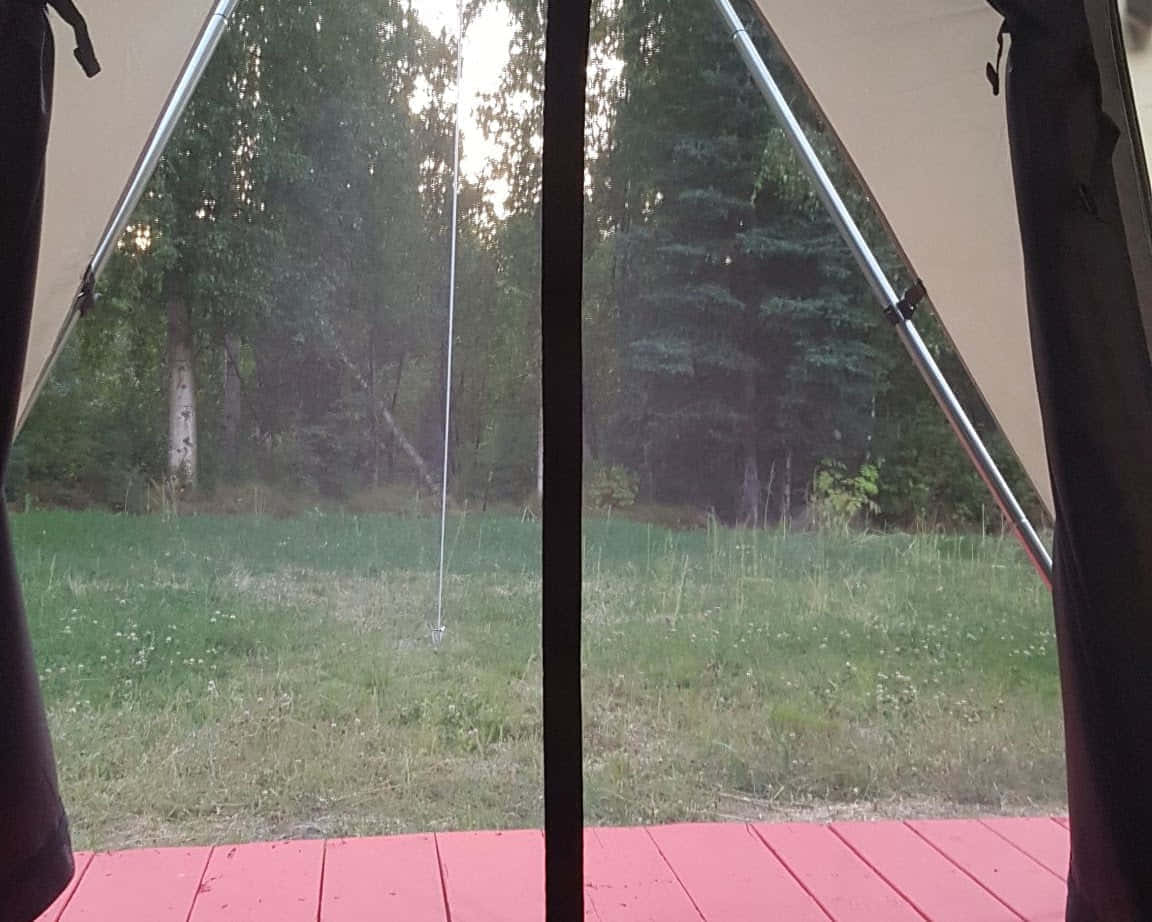 אלסקה ב-6 ימים - 7