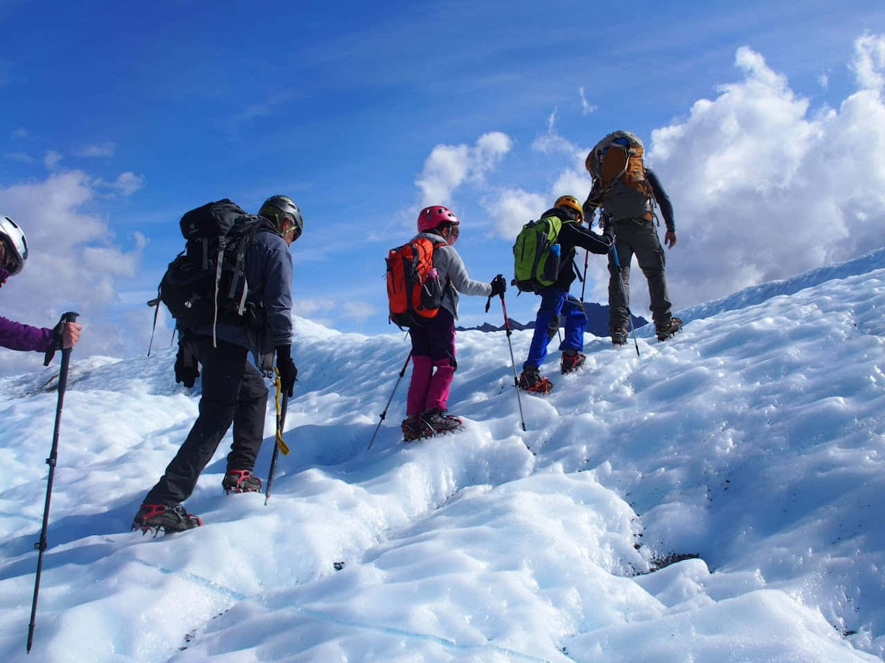אלסקה ב-6 ימים - 8