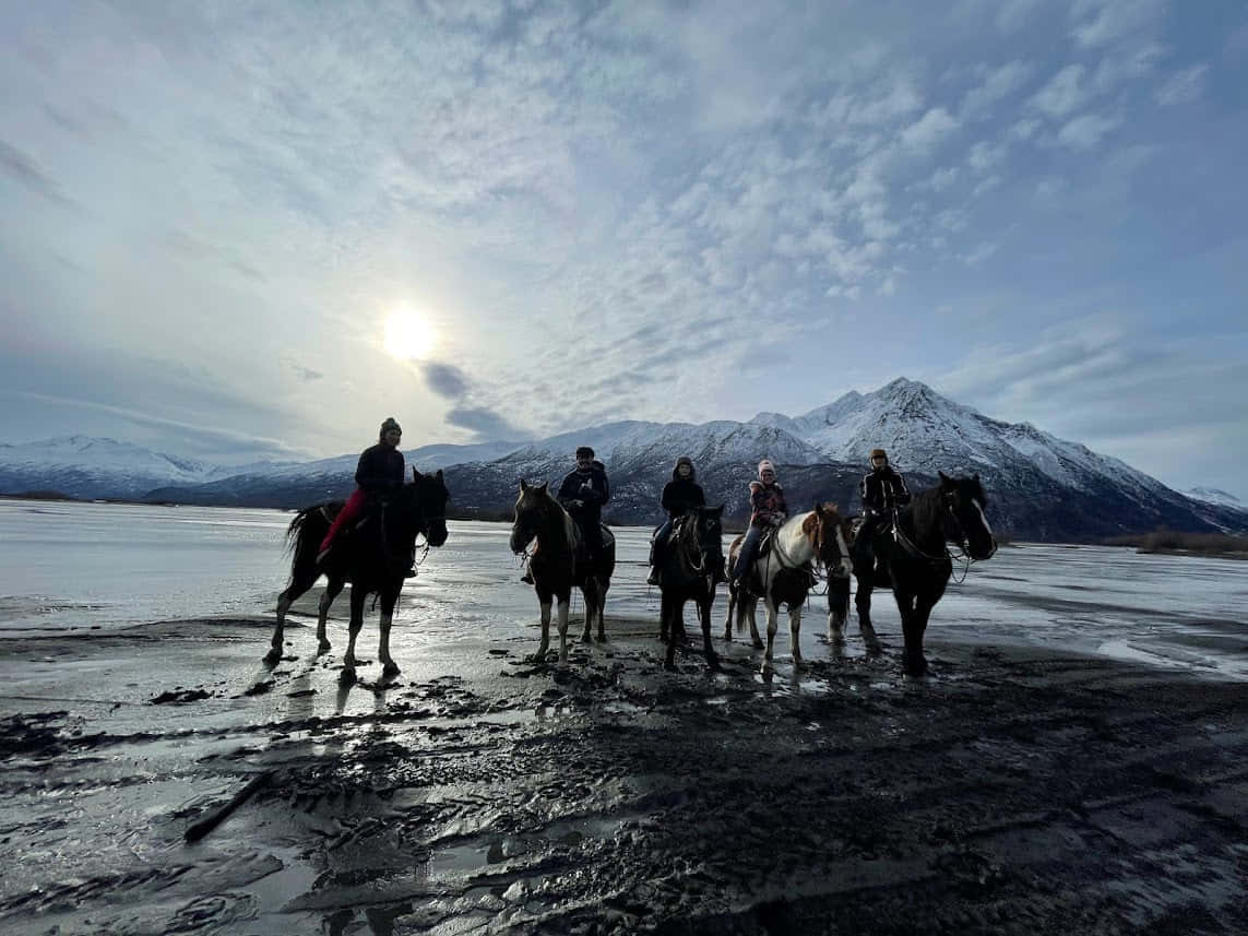 אלסקה ב-7 ימים - 4