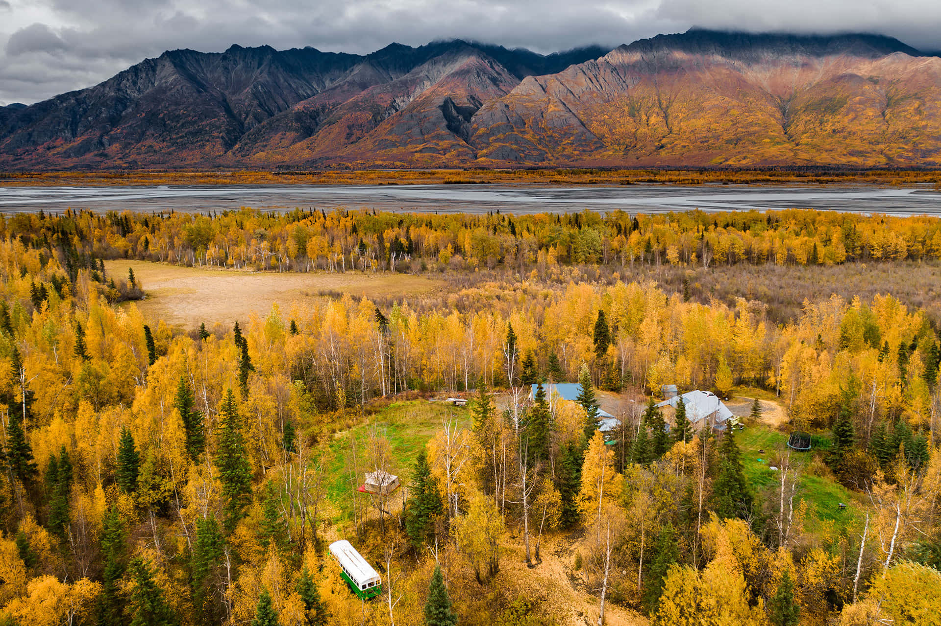 Golden Autumn 2026 - 1