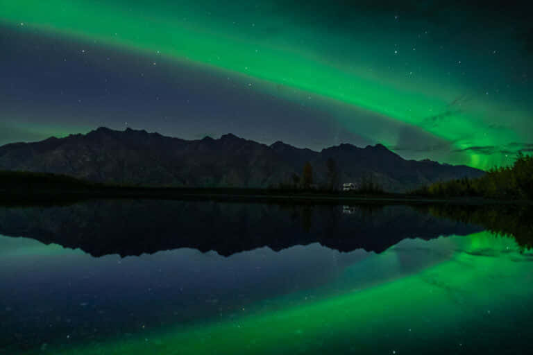 Golden Autumn 2026 - 2