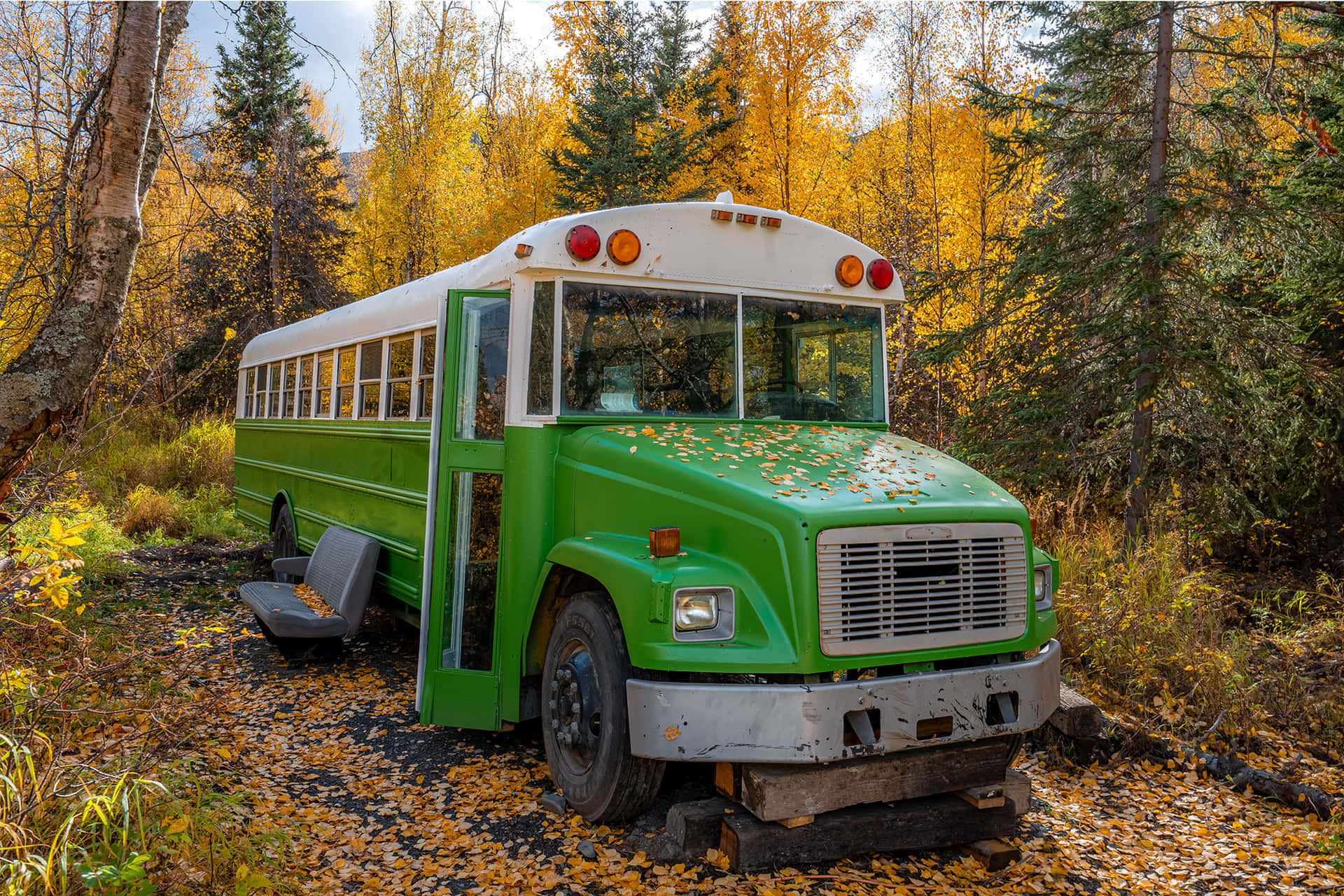 Golden Autumn 2026 - 4