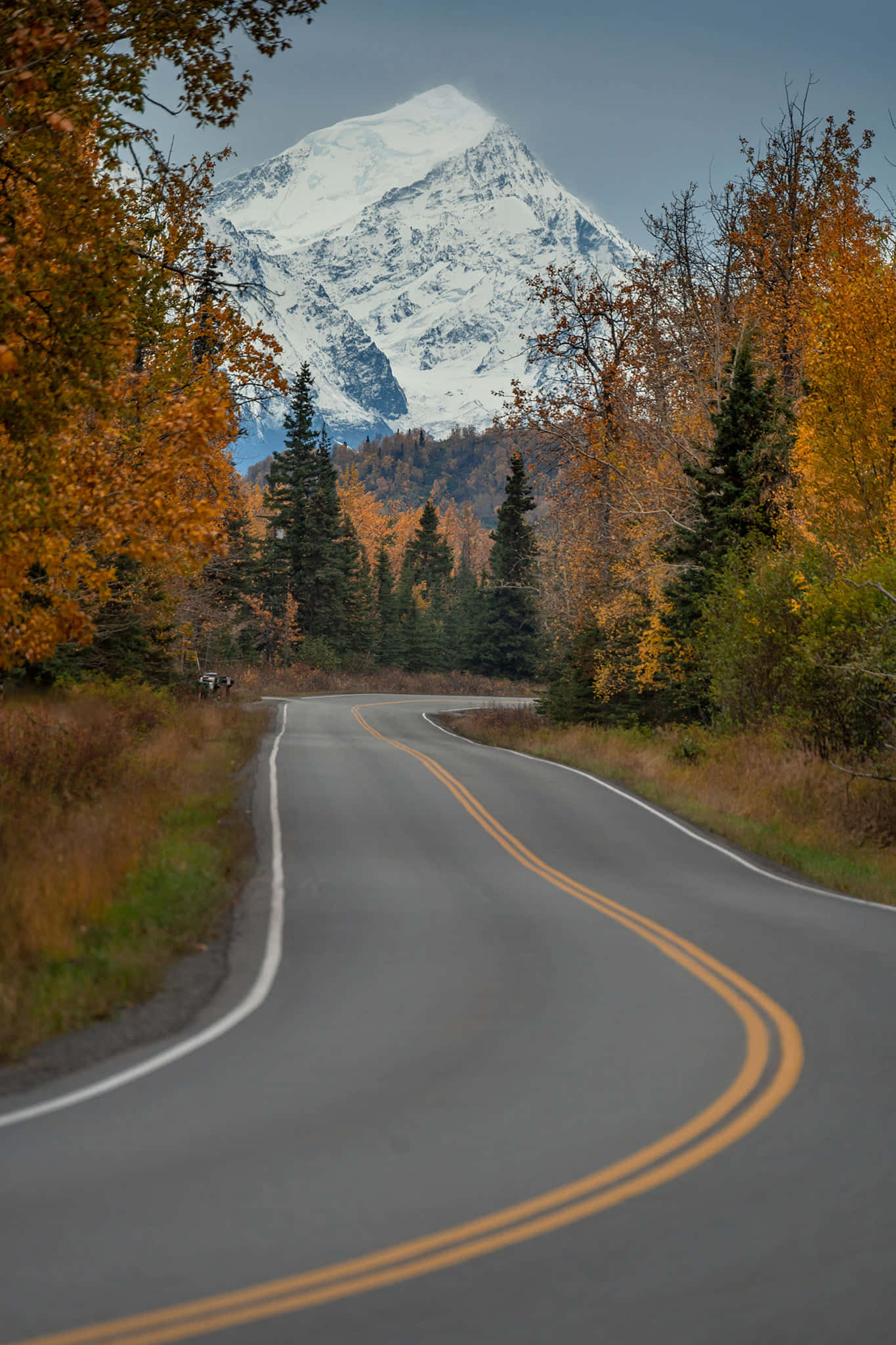 Golden Autumn 2026 - 5