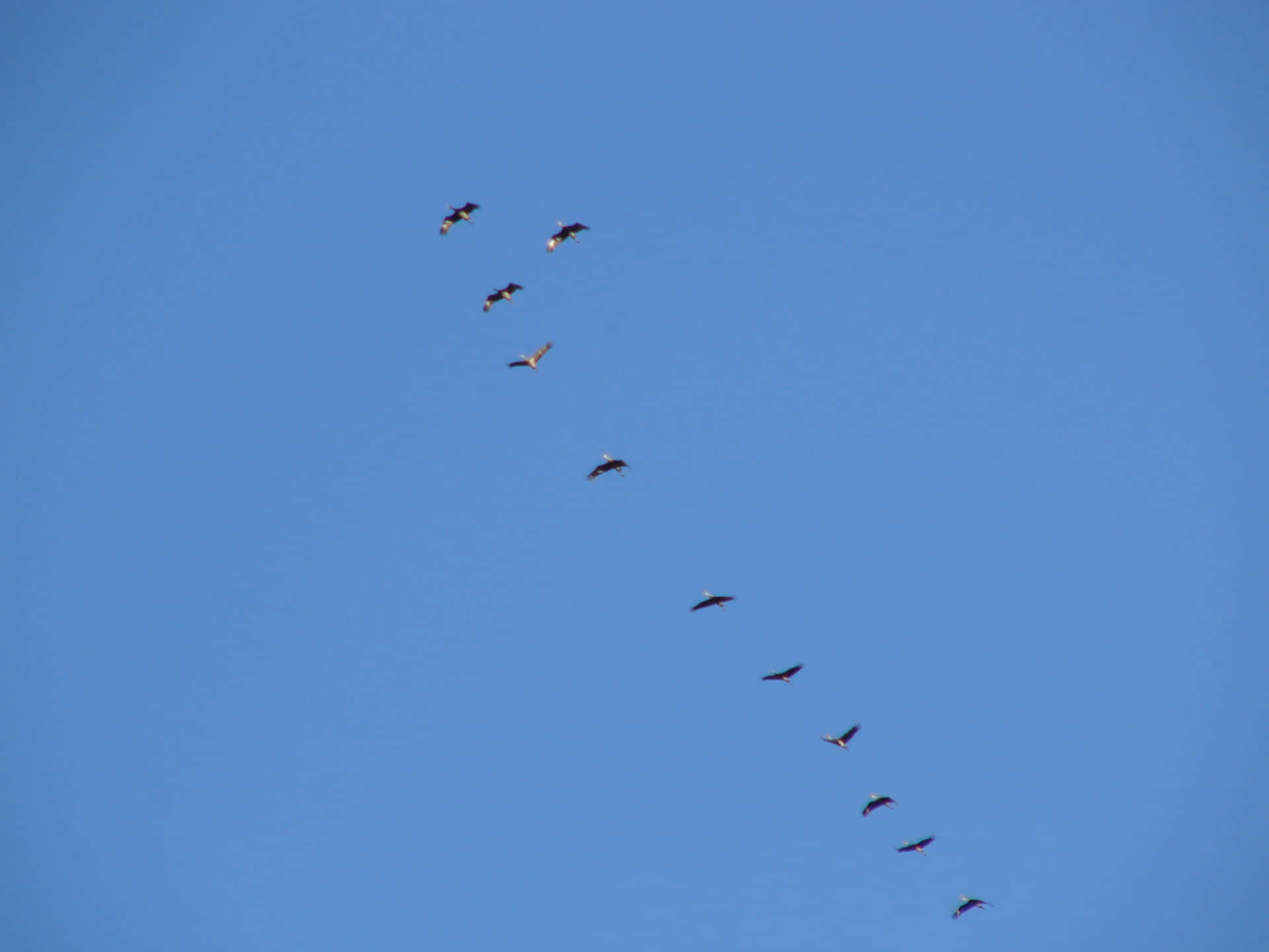 Golden Autumn 2026 - 7