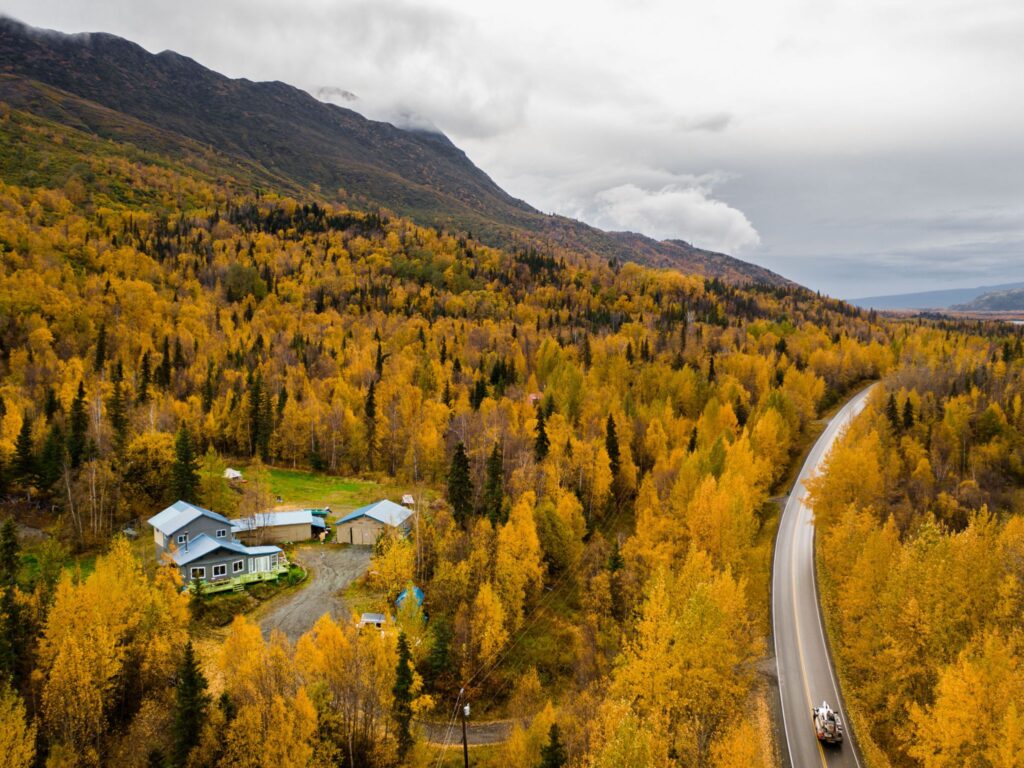 Проживание (лето)