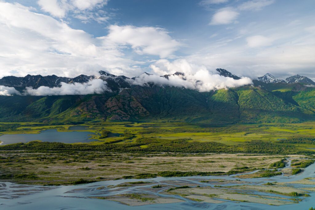 Волшебный автобус (3-5 чел)