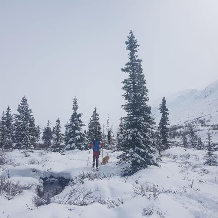 Прогулка на снегоступах